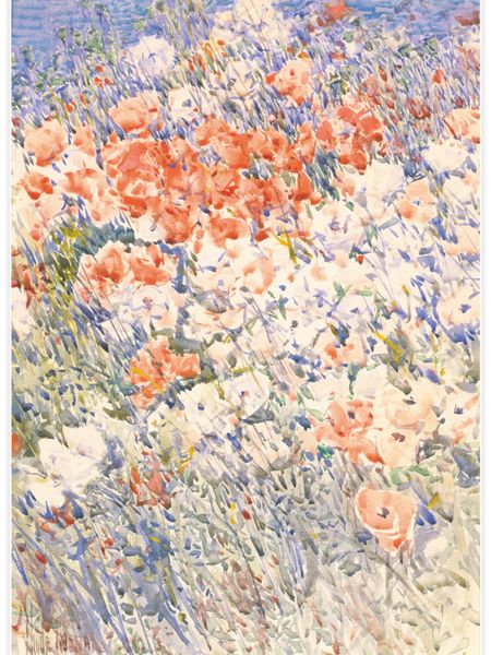 The island garden Poster