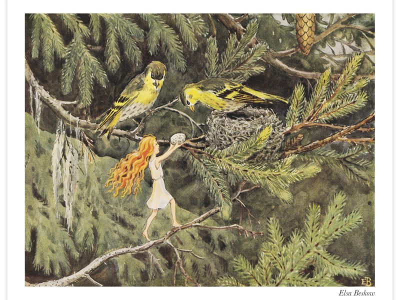 Älvan och småfåglarna i skogen Poster